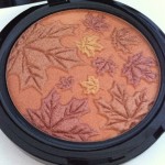 Body Shop Autumn Leaves Cheeks in Autumn Leaves